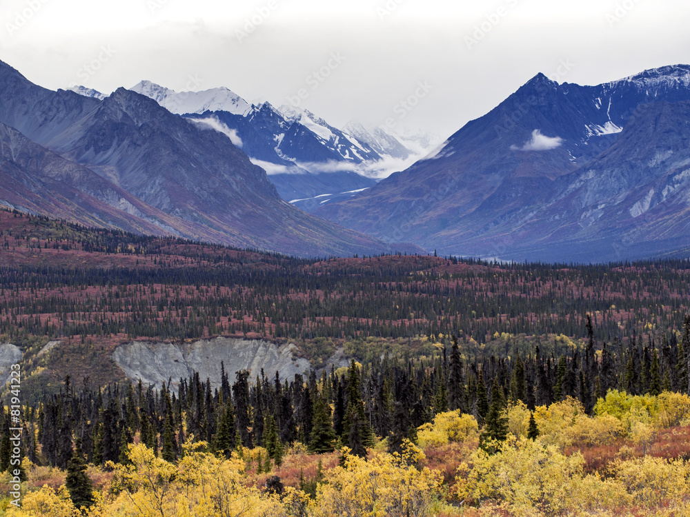 Fall in Alaska