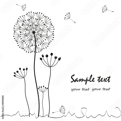 Dandelions floral greeting card vector