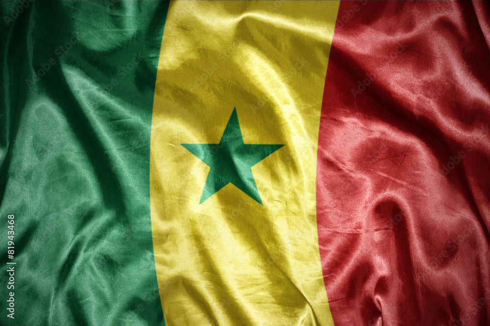 shining senegalese flag shining senegalese flag