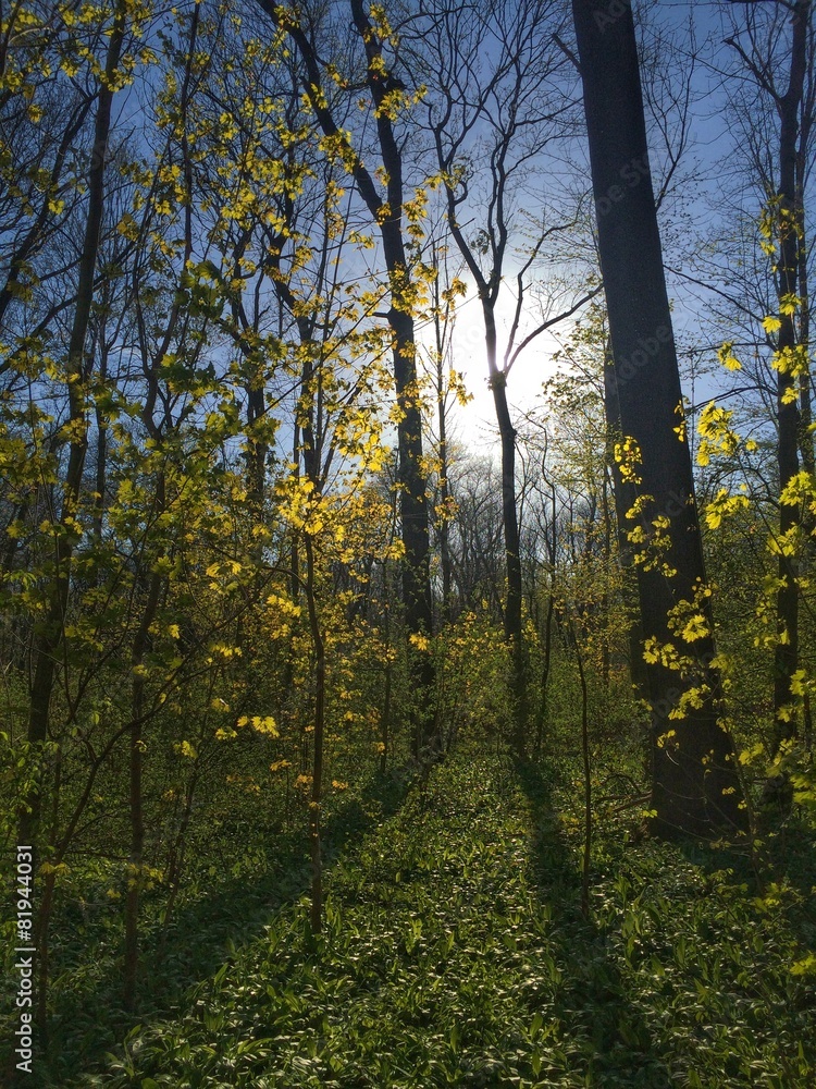 Obraz premium what a perfect day