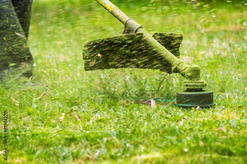 trimmer head cutting grass to small pieces