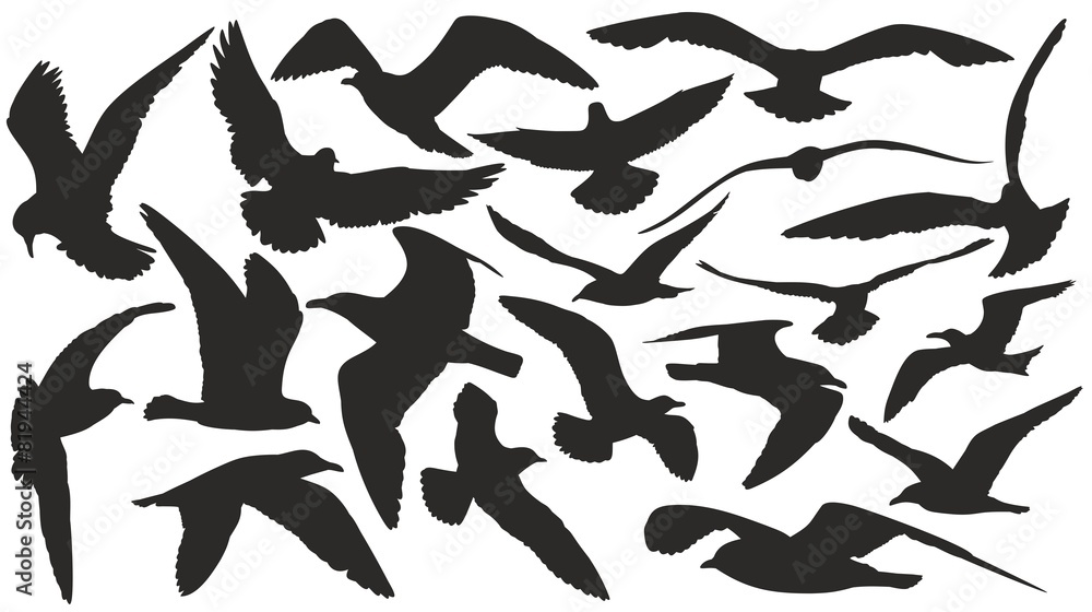 Fototapeta premium Set of silhouettes of seagulls in flight.