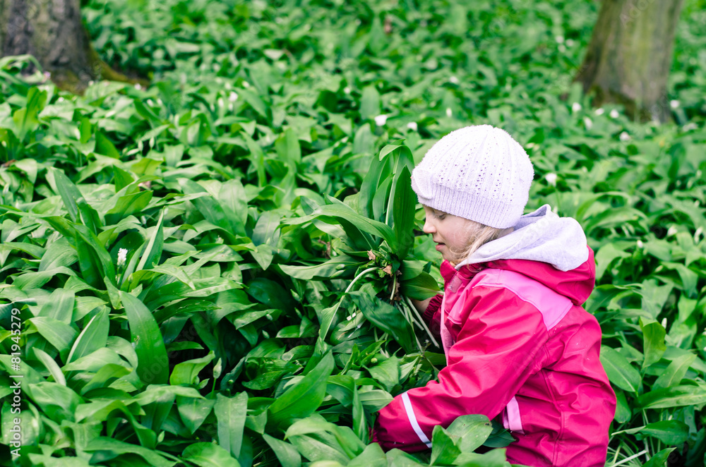 child in wild garlic