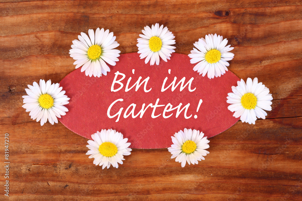 Obraz premium bin im garten