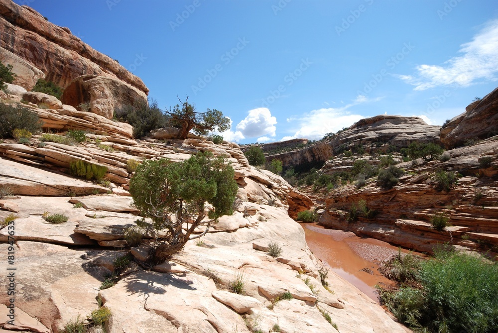 Natural Bridges National Monument Natural Bridges National Monument