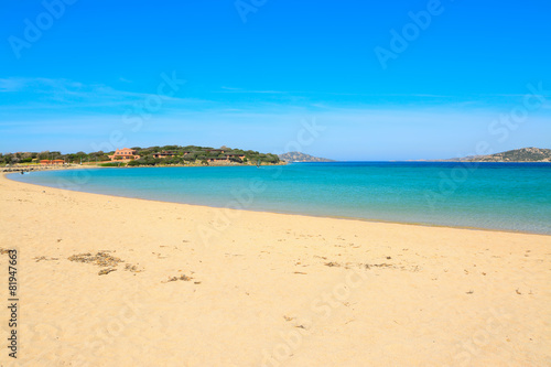 Porto Pollo beach on a clear summer day