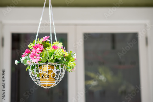 Fototapeta Naklejka Na Ścianę i Meble -  Hanging basket of flowers