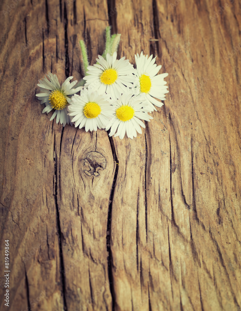Obraz premium Lovely bouquet of daisies field on rustic wooden surface