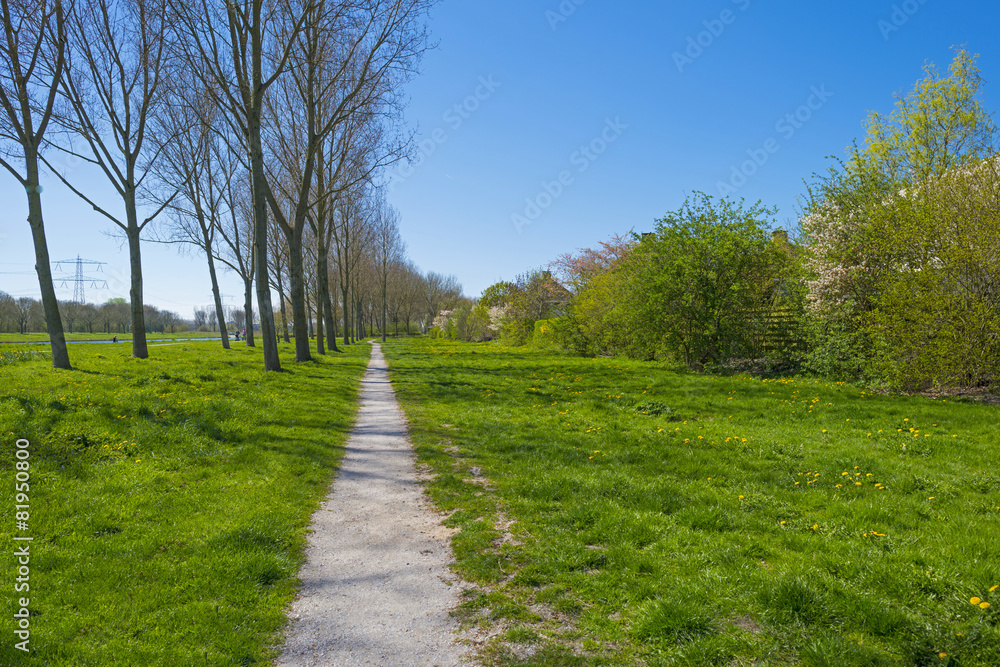 Footpath through a park in spring