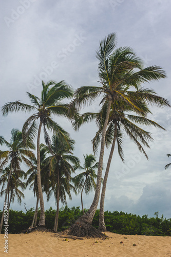 Tropical Paradise. Dominican Republic, Seychelles, Caribbean © andreiko