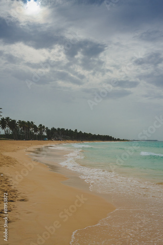 Tropical Paradise. Dominican Republic  Seychelles  Caribbean