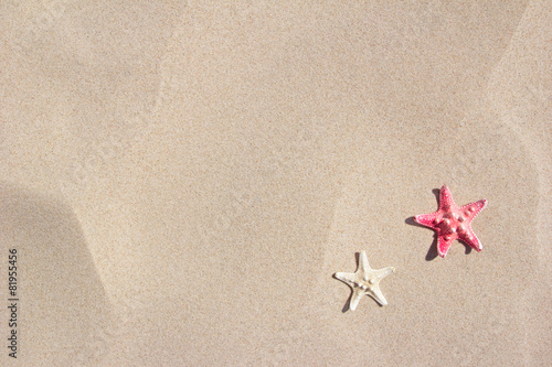 summer beach background