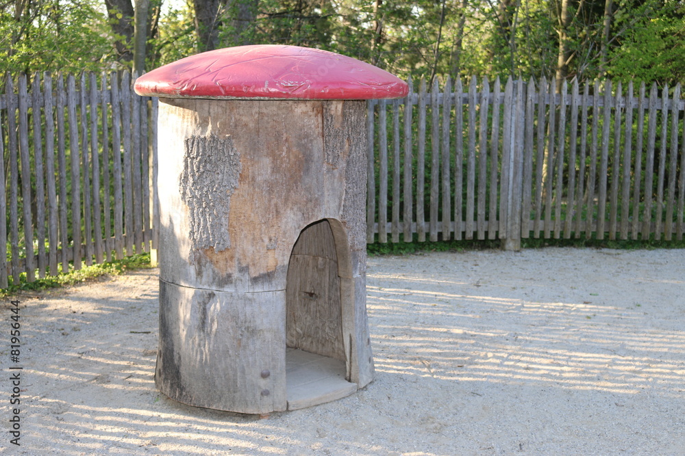 Fototapeta premium spielpilz 