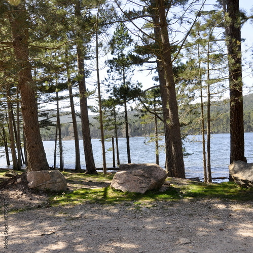 Lac de L'Ospedale, Corse photo