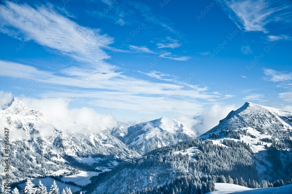 Verschneites Bergpanorama