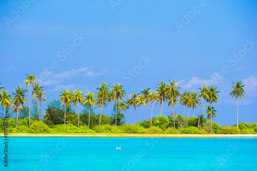 Perfect island with white beach, turquoise water and green palms