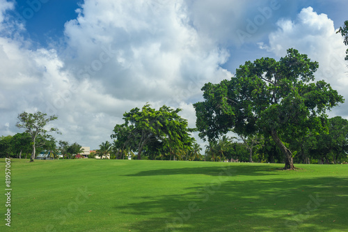 Golf course in Dominican republic. field of grass and coconut