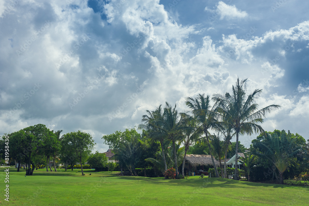 Golf course in Dominican republic. field of grass and coconut