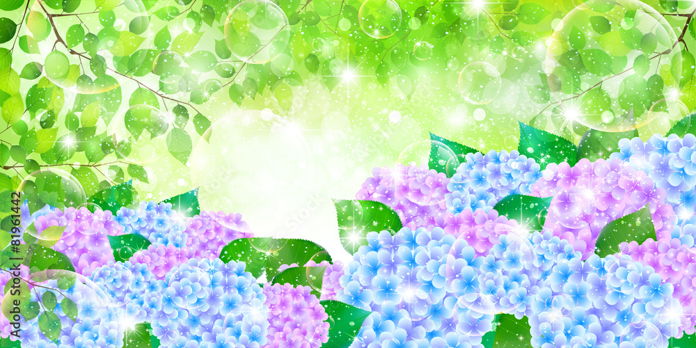 あじさい 梅雨 背景 Stock Vector Adobe Stock