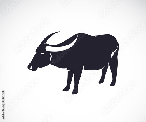 Vector image of an buffalo on white background.
