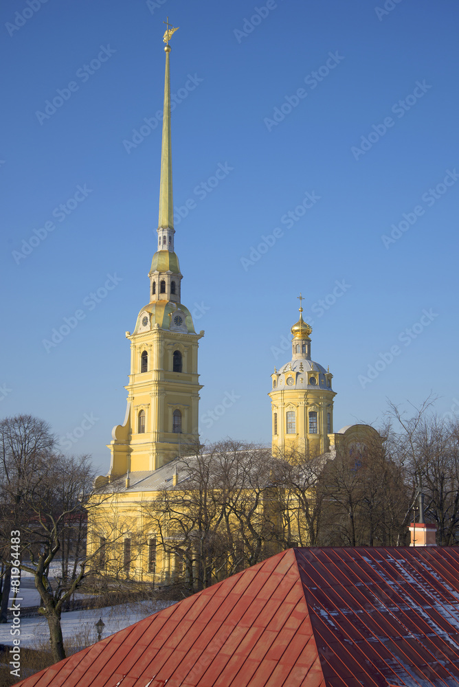 Naklejka premium Вид на Петропавловский собор с Государева бастиона