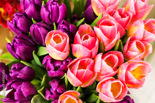 Bouquet of multicolor tulips