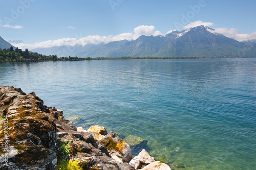 Landscape. Shore of the lake on a sunny day
