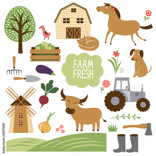 Vector illustration of farm animals and related items photo