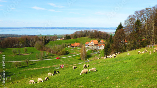 Wolfhalden mit Weitblick photo