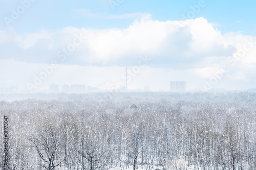 Wallpaper Mural snow storm over city and forest in spring Torontodigital.ca