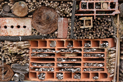 insektenhaus photo