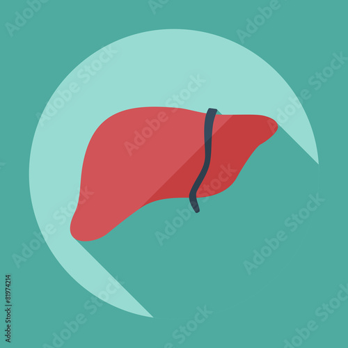 Flat modern design with shadow icons liver