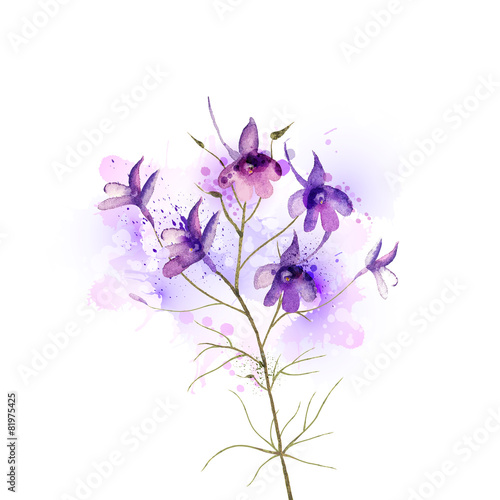 inflorescence larkspur by watercolor Elements photo