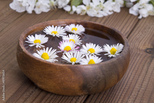 Bowl with daisies on wooden background