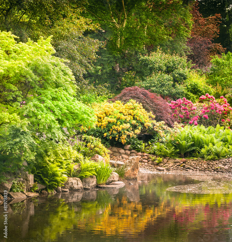Garden full of flowers
