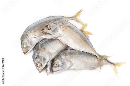 Fried mackerel  on a white background