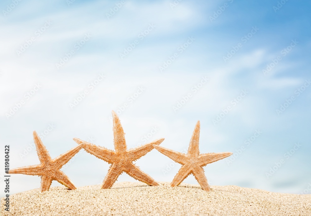 Beach. Starfish with ocean , beach and seascape, shallow dof Beach. Starfish with ocean , beach and seascape, shallow dof