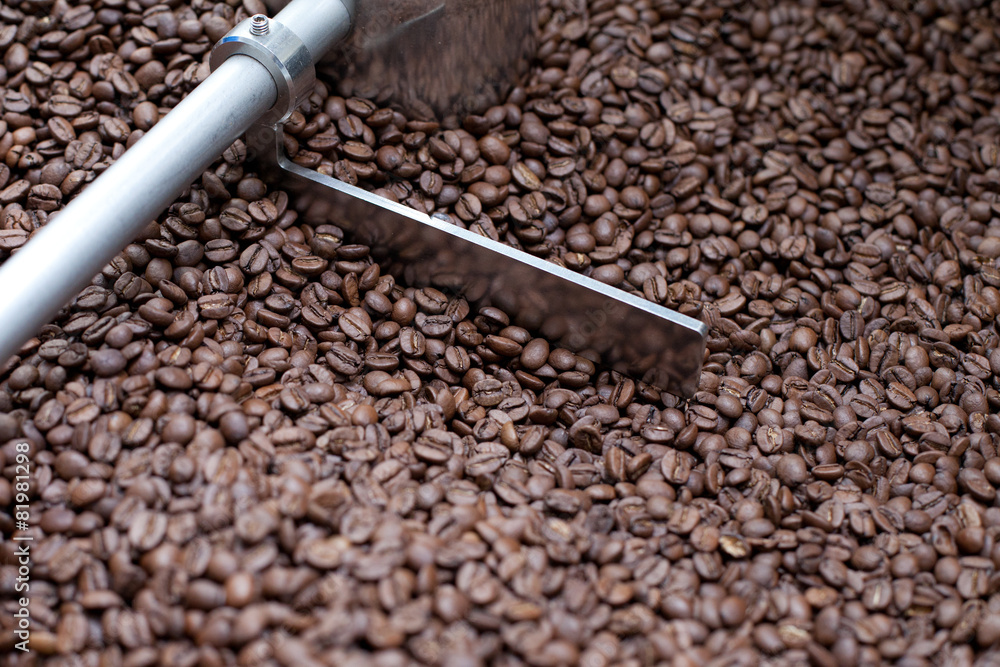 Roasted Coffee Beans: grid Roasted Coffee Beans: grid