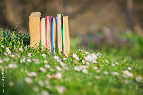 Books on the grass photo