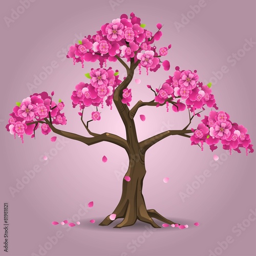 Japanese sakura tree