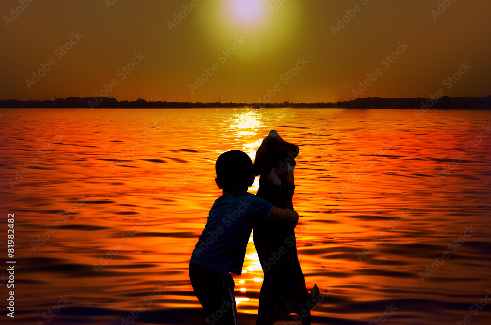 Silhouette of boy and dog embracing at sunset