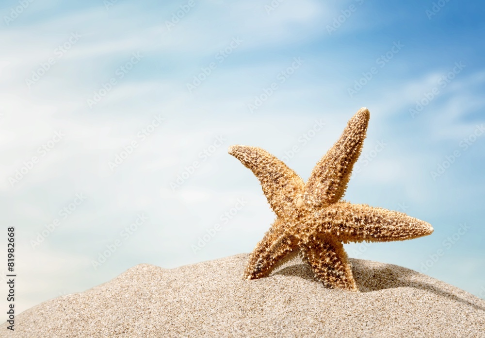 Beach. Starfish with ocean , beach and seascape, shallow dof Beach. Starfish with ocean , beach and seascape, shallow dof
