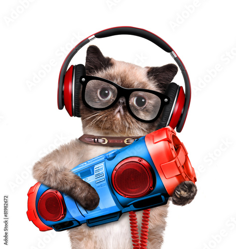 Cat headphones with tape recorder. © Rasulov