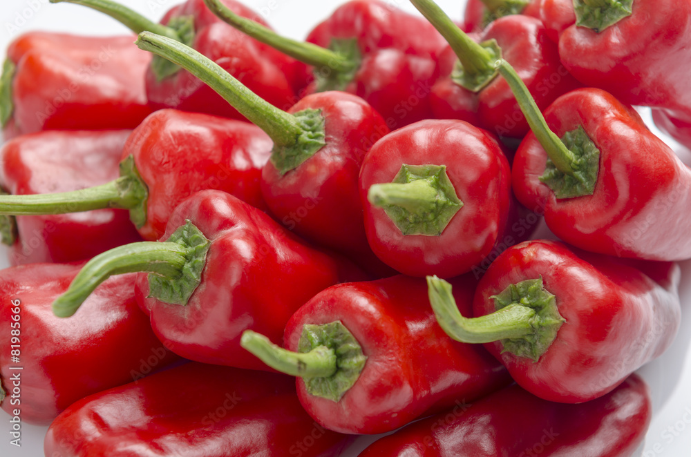 fresh red chilies on white background display fresh red chilies on white background display