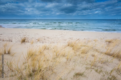 Fototapeta Naklejka Na Ścianę i Meble -  Beautiful view on Baltic sandy coast 