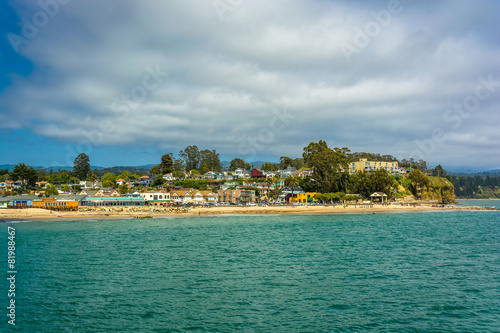 View of the beach in Capitola, California. © jonbilous