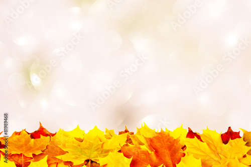 Autumn leaves on a light background