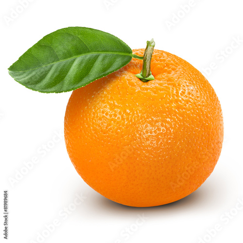 orange photo