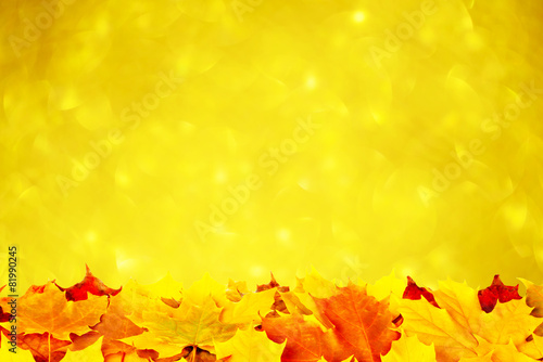 Autumn leaves on a gold background