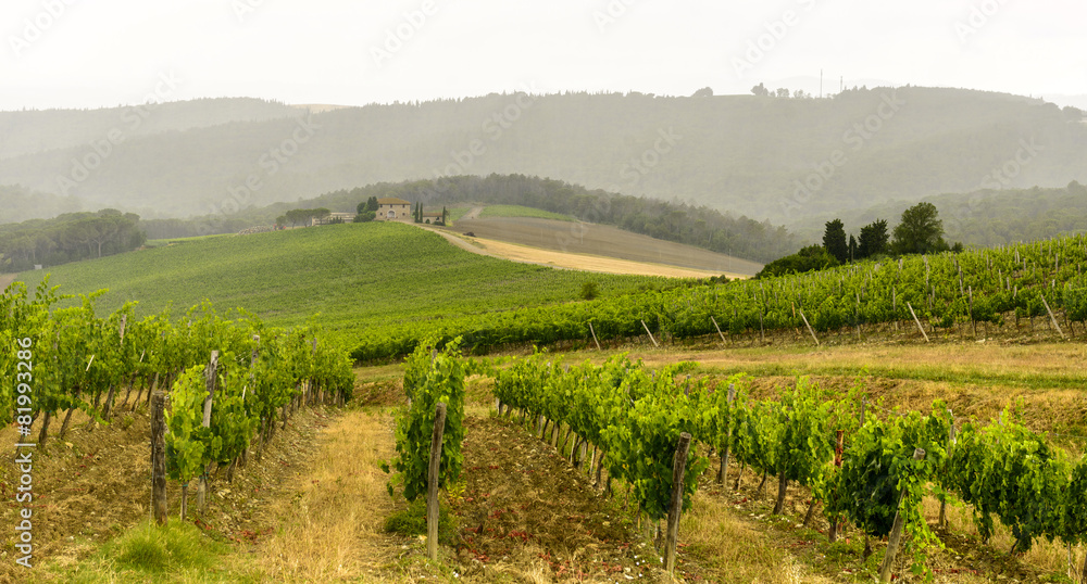 Chianti, Tuscany